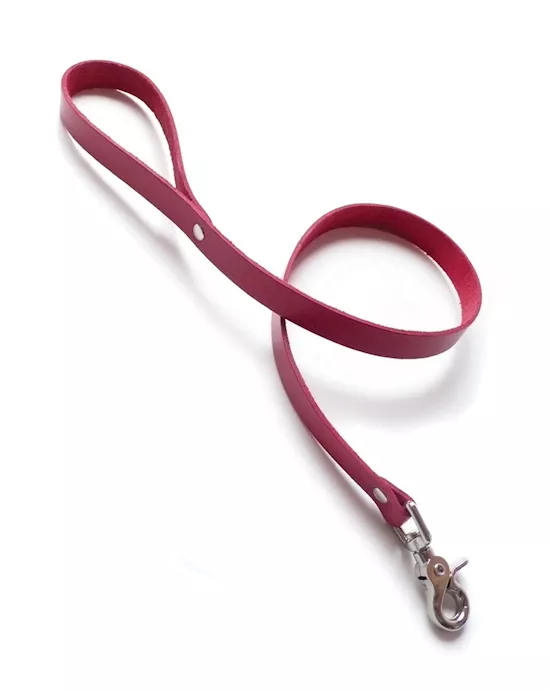 Bound Leather Leash