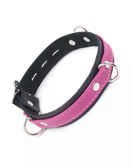 Joanna Locking Buckle Collar