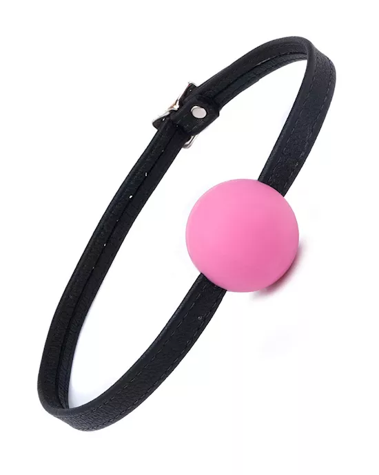 Silicone Ball Gag with Garment Leather Strap