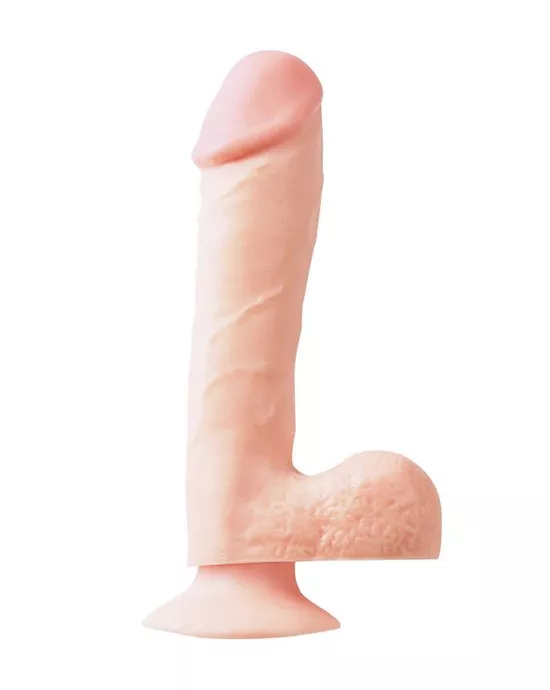 BASIX DONG With Suction Cup