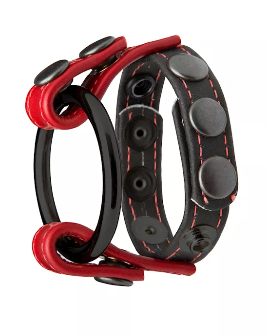 Cock and Ball Master Ring