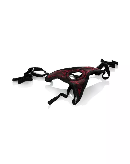 Scandal Thong Harness