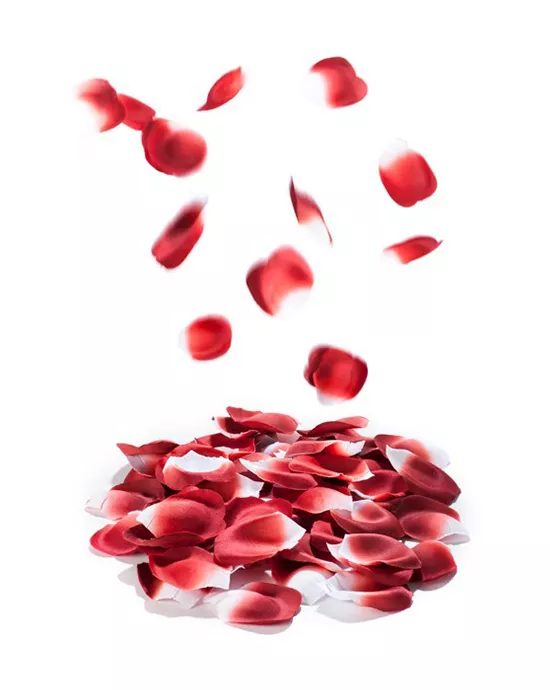 Rose Petal Explosion