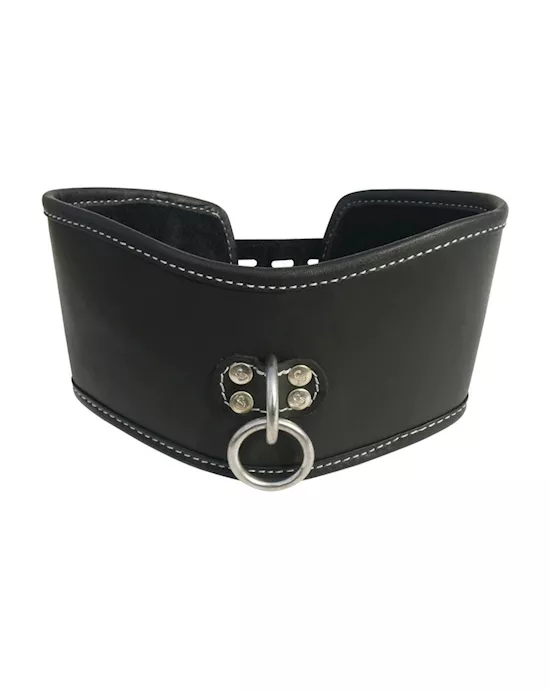 Edge Soft Leather Posture Collar