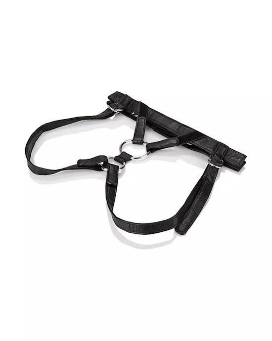 Her Royal Harness The Duchess