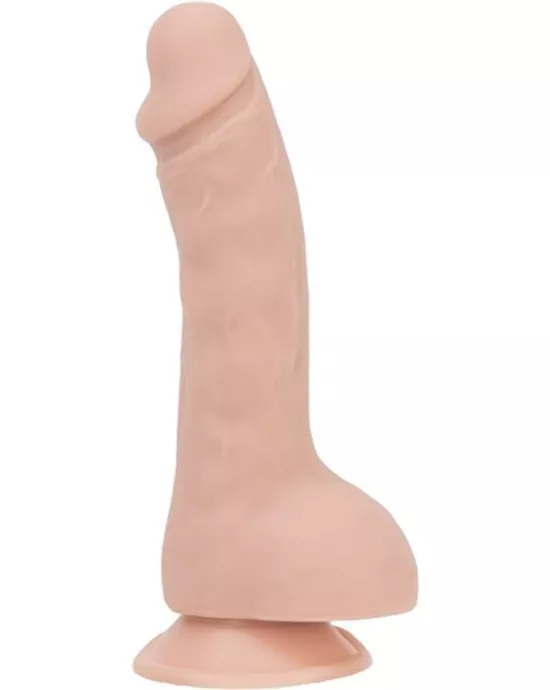 Brad 7.5 Inch Suction Cup Dildo with Balls