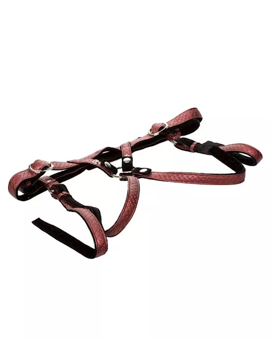 The Regal Duchess Premium Harness