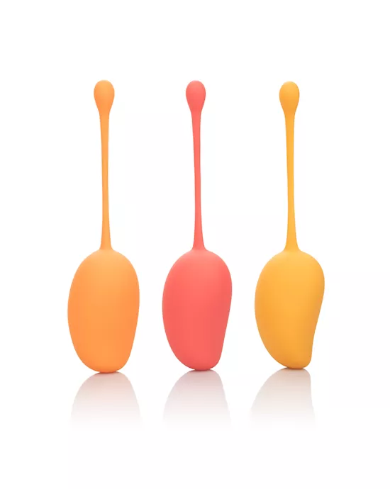 CalExotics Kegel Training Set