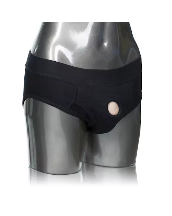 CalExotics Packer Gear Brief Harness (XL/2XL)