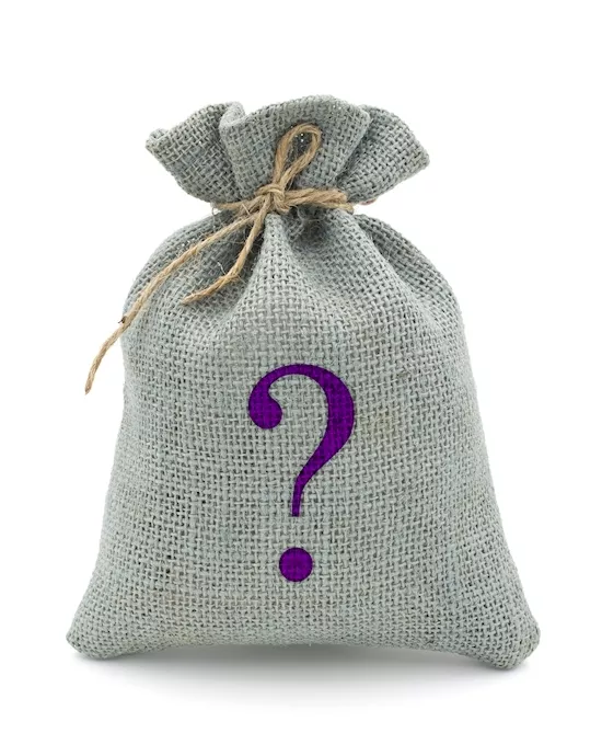 Mystery Bag - Womans Lingerie - Size M/L