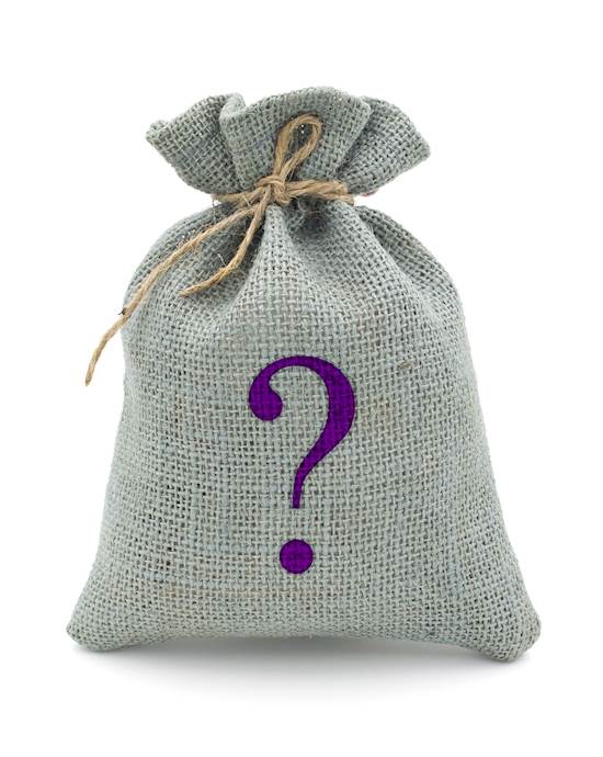 Mystery Bag - Jewelled Butt Plug