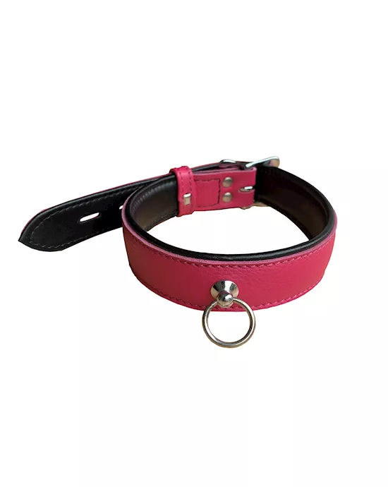 Bound X Leather Neck Collar with Ring Attachment
