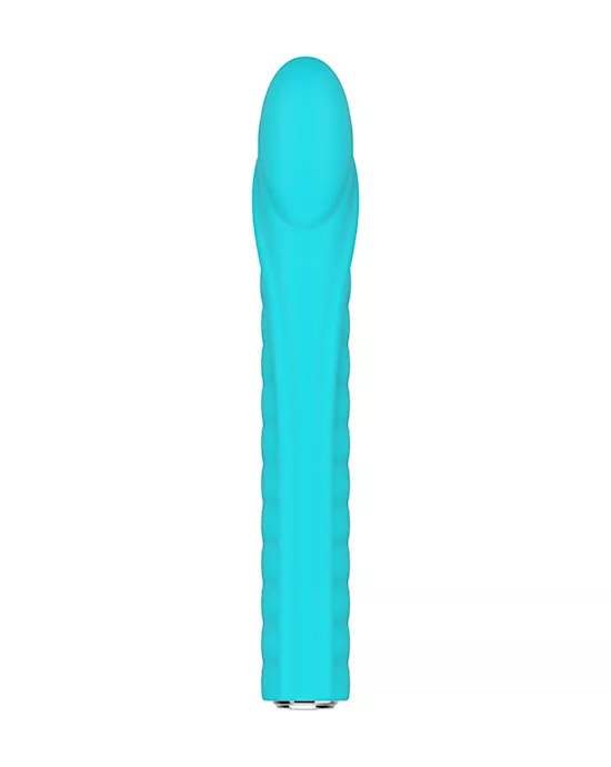 Dixie Vibrator