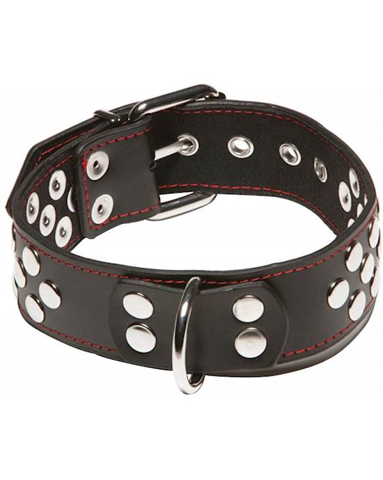 X-play D-ring Collar