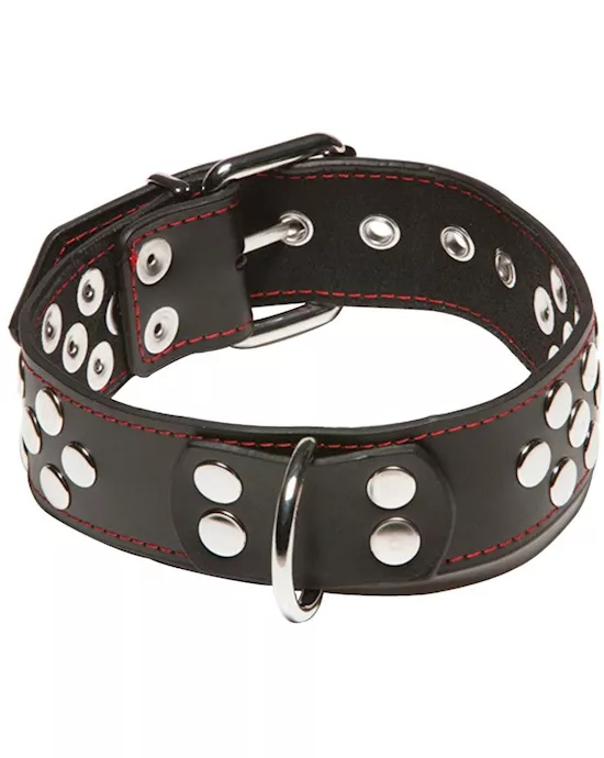 X-Play D-Ring Collar