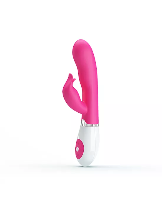 Foxy Felix Rabbit Vibe