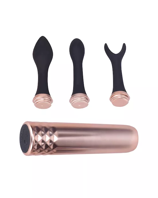 Vibrator with Interchangeable Heads 