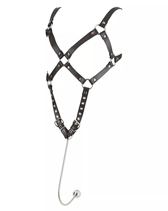 Leather Harness