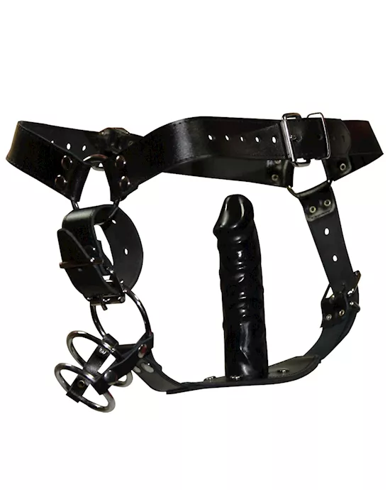Plug Harness with Cock Rings