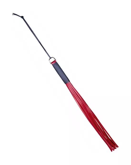 Zado Discipline Whip