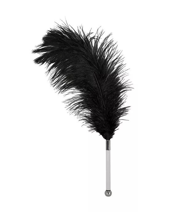 Bad Kitty Tiny Tickler