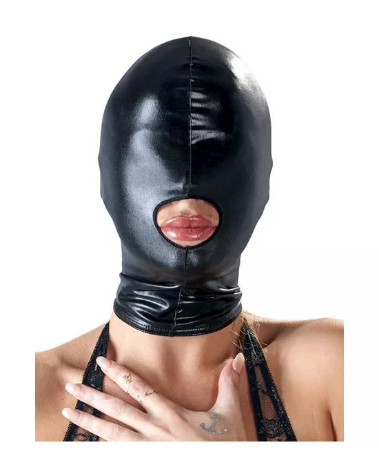Bad Kitty Gimp Mask