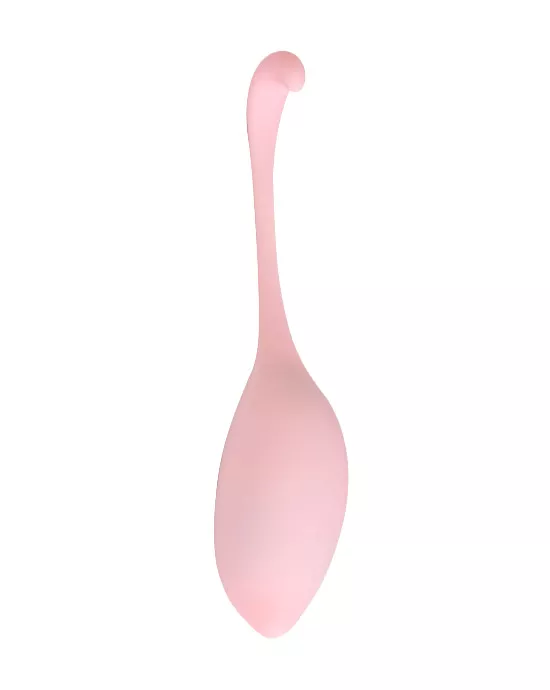 Remote Controlled Egg Vibrator