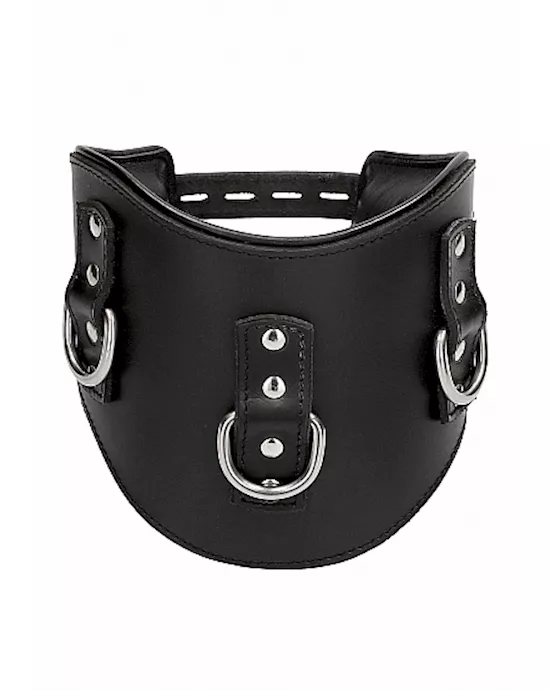 Heavy Duty Padded Posture Collar- Black