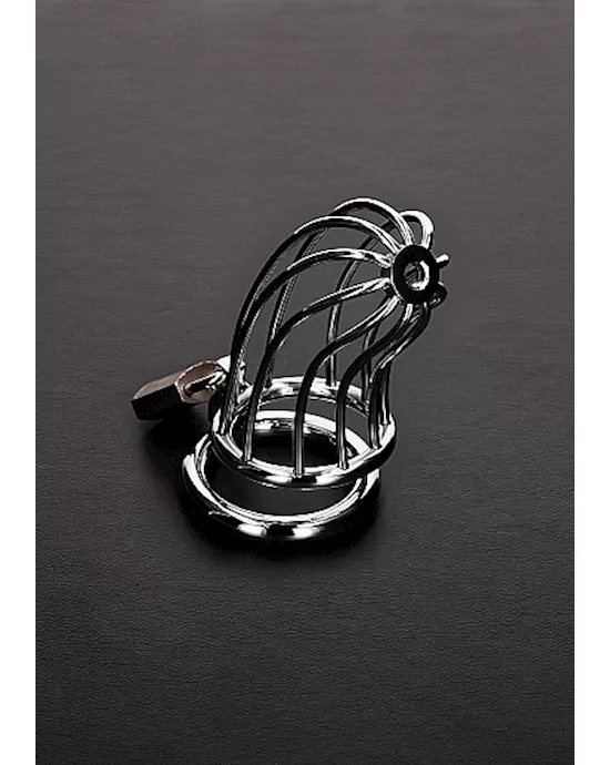 Bird Cage Chastity Device 