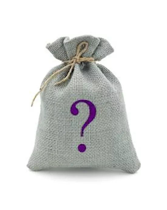 Mystery Bag - Christmas Promo Mens Toy