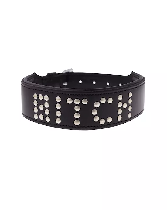 Bound X Bitch Studded Collar