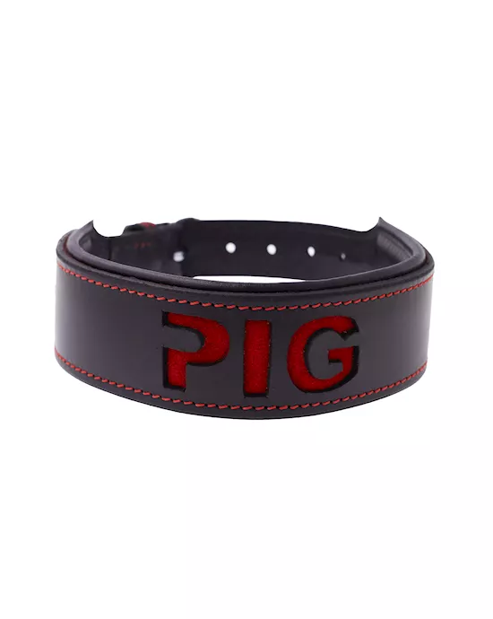 Bound X Pig Cut Out Collar