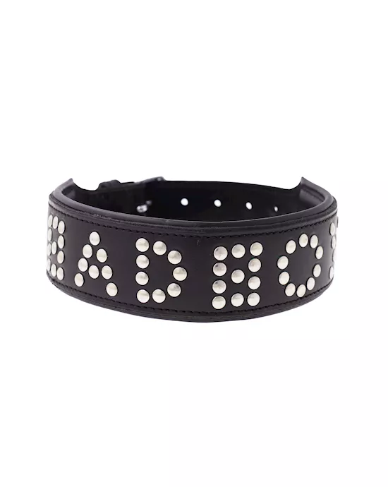 Bound X Bad Boy Studded Collar 