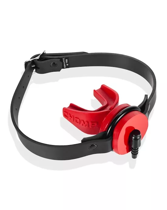 CHOMP GAG with Straps