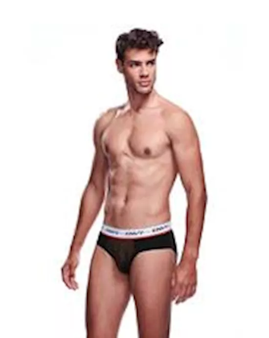 Envy Mesh Brief