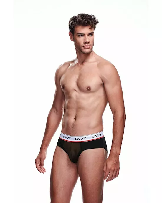 Envy Mesh Brief