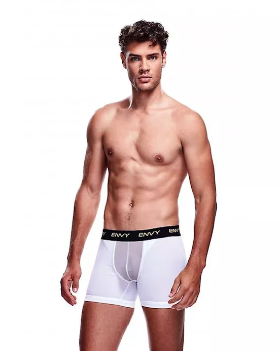 Envy Mesh Long Boxer