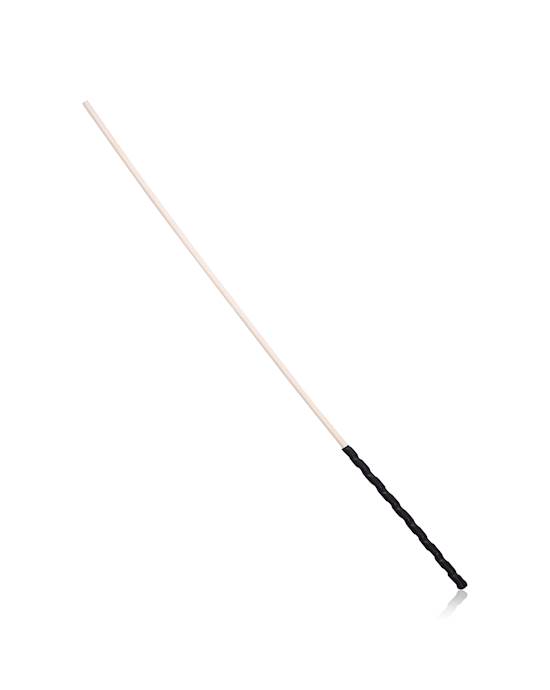 Disciple Cane