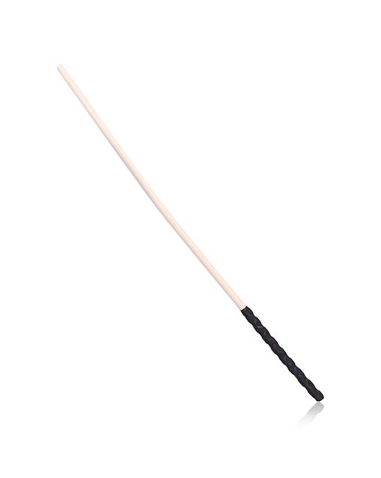 Thick Discipline Cane
