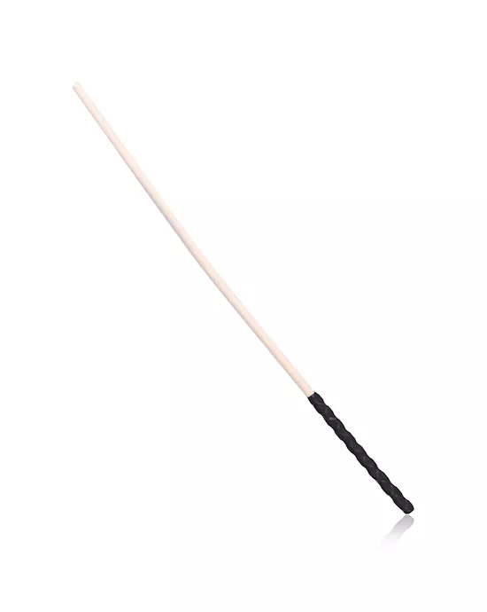 Thick Discipline Cane