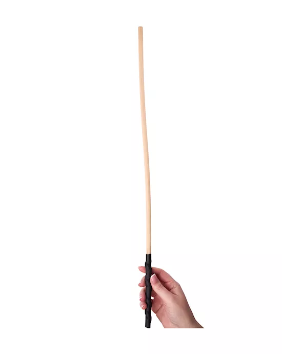 Sturdy Discipline Cane