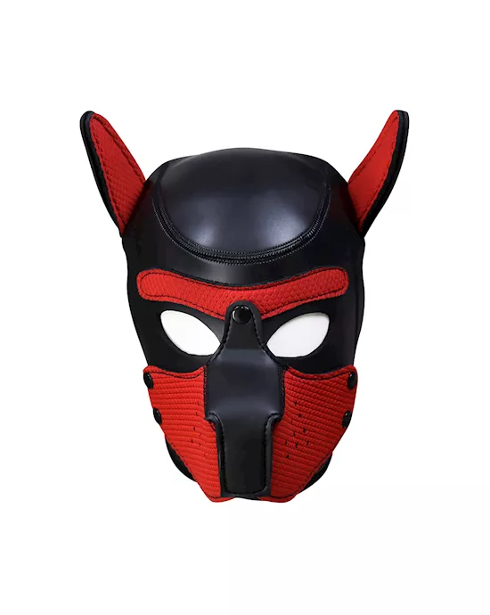 Mans Best Friend Puppy Hood