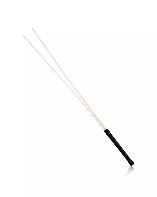 Dual Disciple Cane