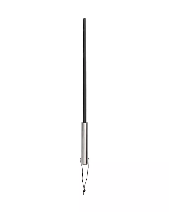 Cane With Stainless Steel Handle