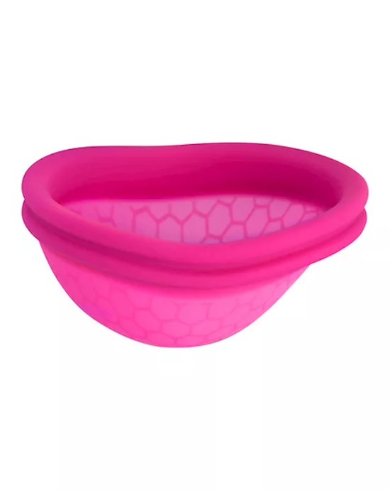 Ziggy Cup