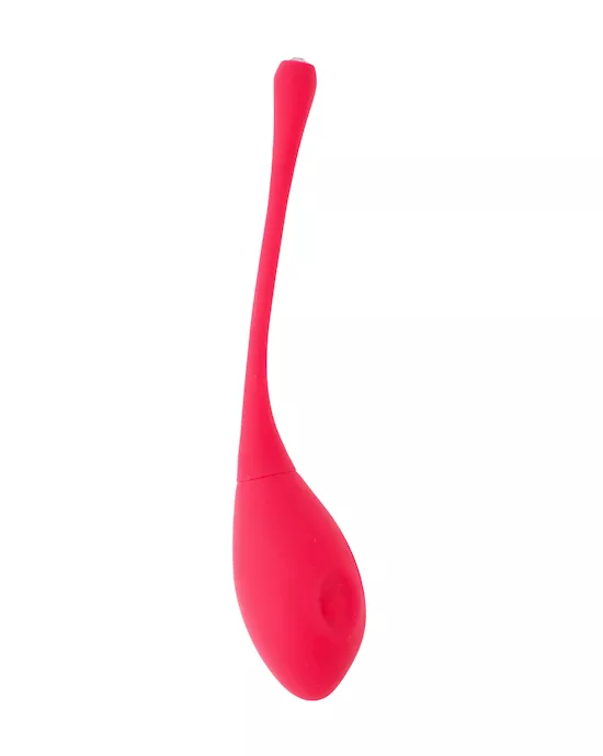Eyden Vibrating Kegel Egg