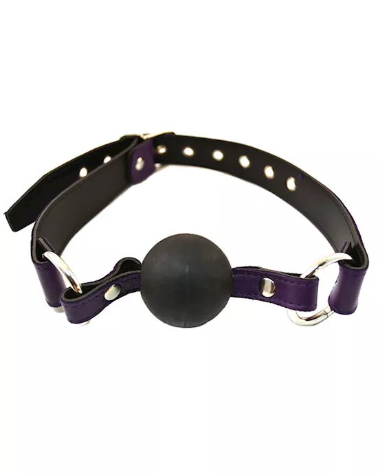 Rouge Leather and Rubber Ball Gag