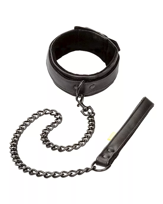 Boundless Collar and Leash