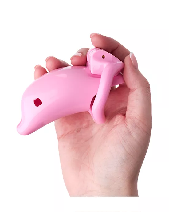 KinKi Dolphin Chastity Cage