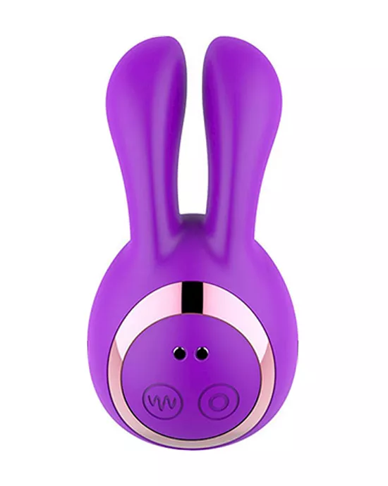 Roger Suction Vibrator